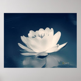 Blauer Toner Lotus Blume Poster