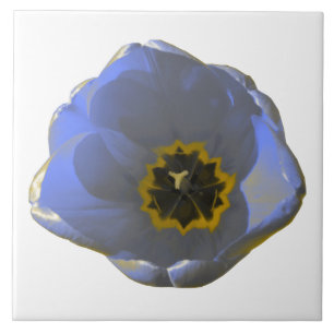 Blauer Tulip Fliese