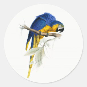 "Blauer und Gelber Ara Vintage Runder Aufkleber