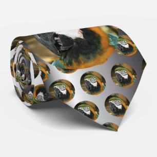 Blauer und gelber Macaw von Amazonas Krawatte