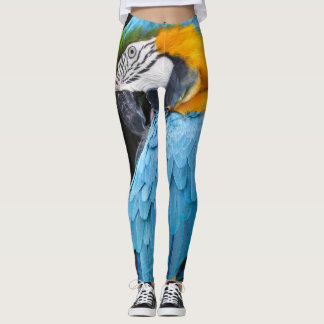 Blauer und gelber putzender Macaw Leggings