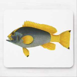 Blauer und Gelber Zackenbarsch, Vintage Meereslebe Mousepad