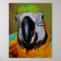 Blauer und goldener Papagei mit Abstrakter Kunst