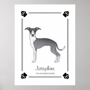 Blauer und weißer Italienischer Windhund mit Pfote Poster
