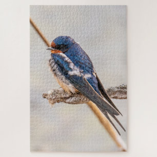 Blauer Vogel, Barnschlucht, kanadische Fotografie Puzzle