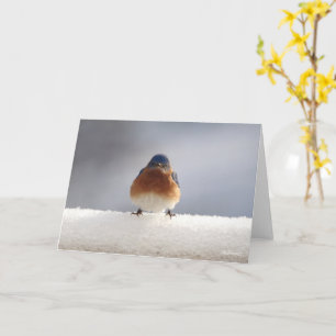Blauer Vogel geklappte Grußkarte Karte