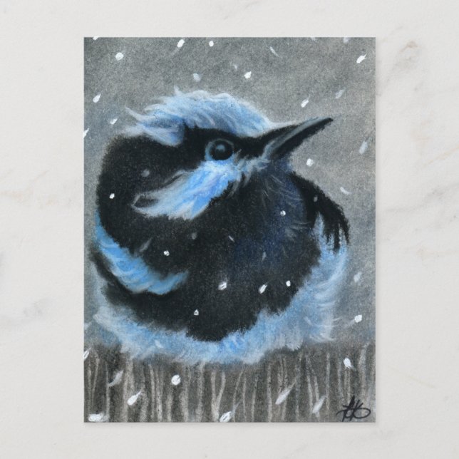 Blauer Vogel im Schnee POSTCARD Postkarte (Vorderseite)