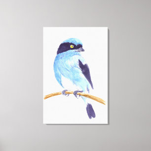 Blauer Vogel Leinwanddruck