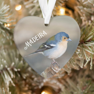 Blauer Vogel Madeira Buchfink (Fringilla maderensi Ornament