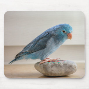 Blauer Vogel Mousepad
