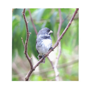 Blauer Vogel Notizblock