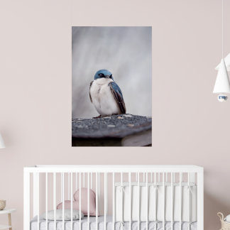Blauer Vogel Poster