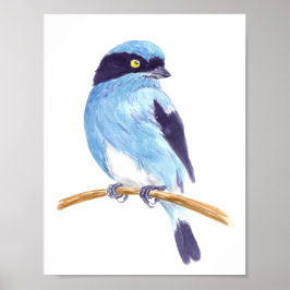 Blauer Vogel Poster