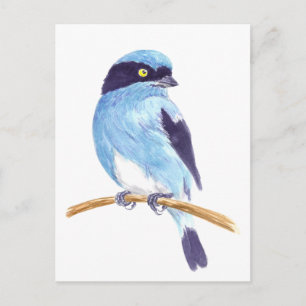 Blauer Vogel Postkarte