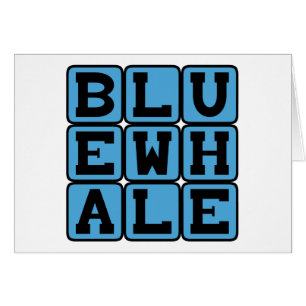 Blauer Wal, Meeressäugetiere