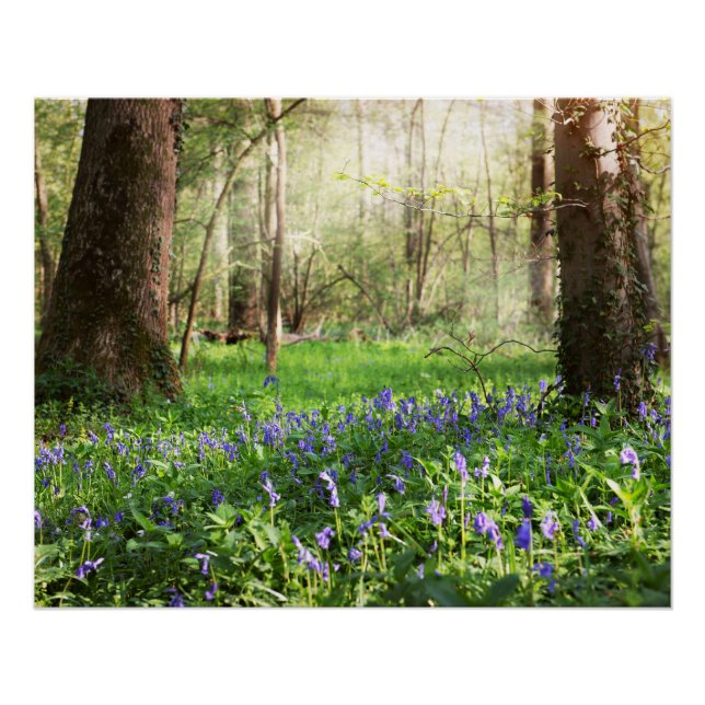 Blauer Wald mit bläulichen Blume Poster (Vorderseite)