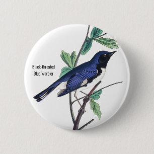 Blauer Warbler, Audubon, Vogel-Button, Button