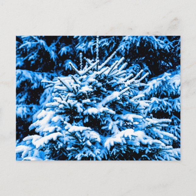 Blauer Weihnachtsbaum, Schnee Postkarte (Vorderseite)