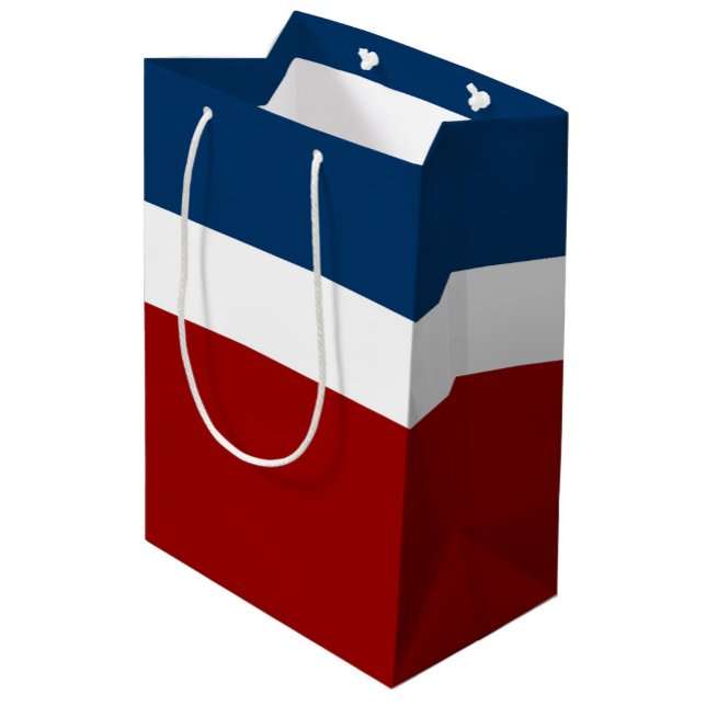 Blauer weißer Farbblockstil Mittlere Geschenktüte (Von Creator hochgeladen)