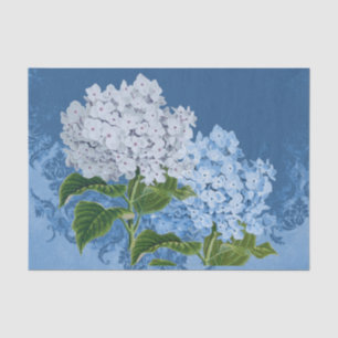 Blauer weißer Hydrangea-Vintages Seidenpapier
