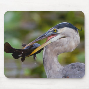 Blauer Wels Mousepad