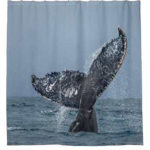 Blauer Whale Tale Ocean Animal Duschvorhang