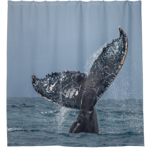 Blauer Whale Tale Ocean Animal Duschvorhang (Vorderseite)