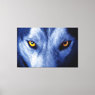 Blauer Wolf mit schönen Augen Leinwand Art
