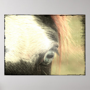 Blaues Auge Grunge Poster