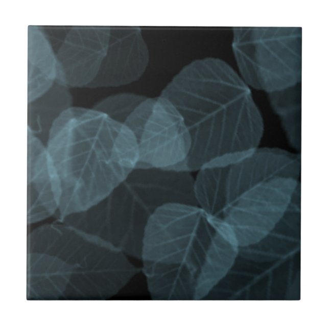 Blaues Blatt X-Ray.png Fliese (Vorderseite)