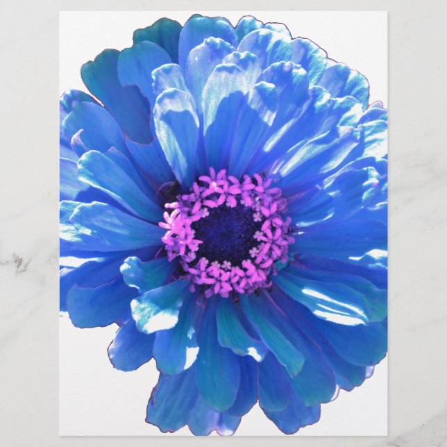 Blaues blaues blühendes Foto (Vorderseite)