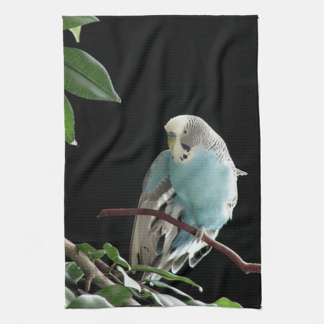 Blaues Budgie Geschirrtuch (Vertikal)