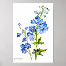 Blaues Delphinium Botanisches Kunstposter Poster