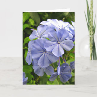 Blaues Denken an Sie Karte