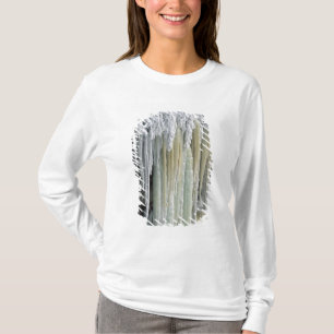 Blaues Eis und abfließendes Grundwasser; Tahquamen T-Shirt