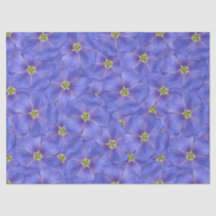 Blaues Flachs Nahtloses Muster