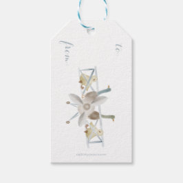 Blaues Flugzeug-Geschenk-Tag Geschenkanhänger
