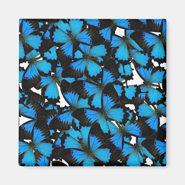 Blaues Frack Magnet (Vorne)