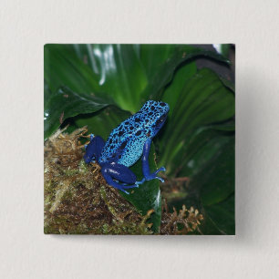 Blaues Gift-Pfeil-Frosch-Porträt Button