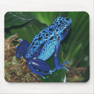 Blaues Gift-Pfeil-Frosch-Porträt Mousepad