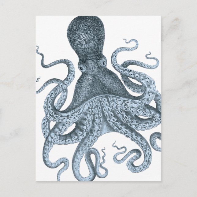 Blaues Grau-Vintage Kraken-Illustration Postkarte (Vorderseite)