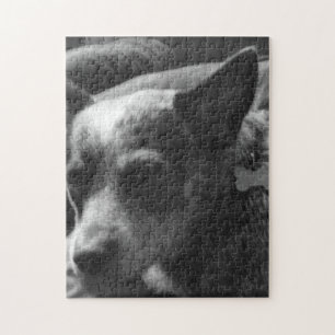 Blaues heeler puzzle