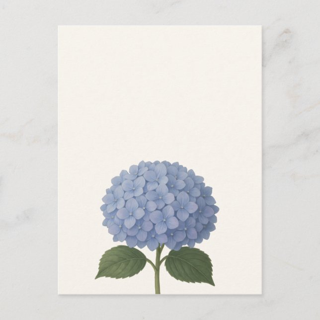Blaues Hydrangea-Botanisches Illustrationsdesign Postkarte (Vorderseite)