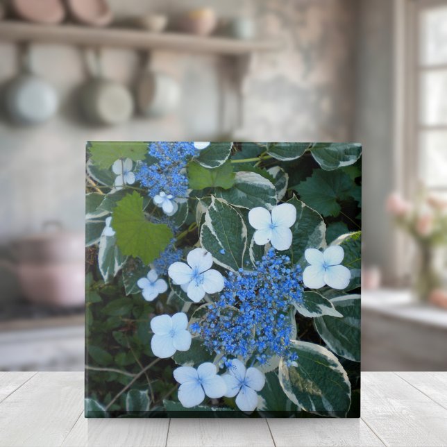 Blaues Hydrangea Fliese (Von Creator hochgeladen)