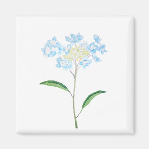 Blaues Hydrangea Magnet