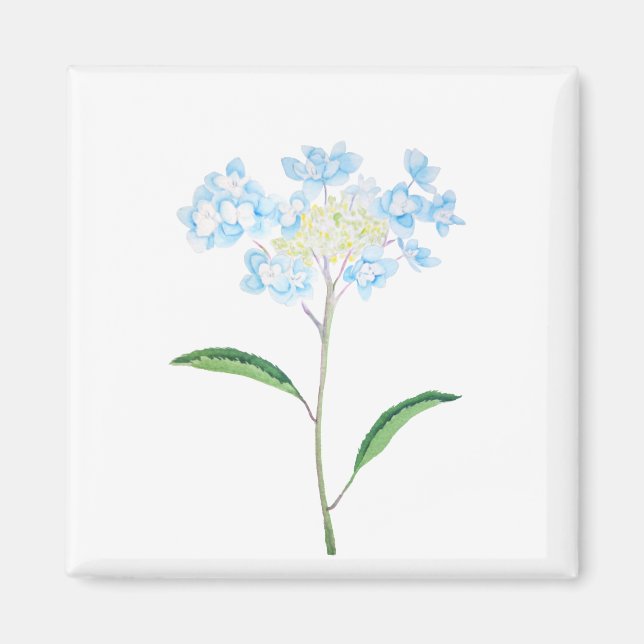 Blaues Hydrangea Magnet (Vorne)