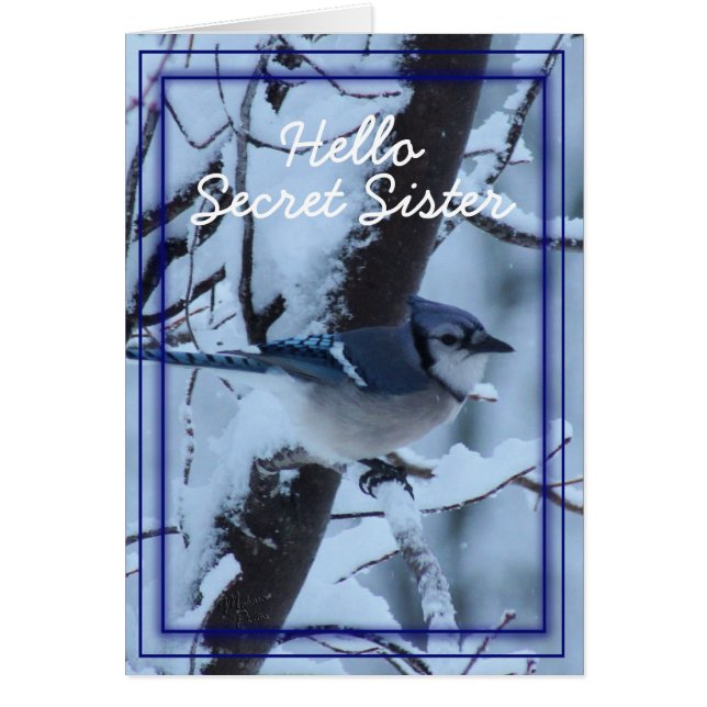 Blaues Jay 7133 - fertigen Sie jede mögliche (Vorne)