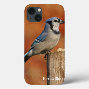 Blaues Jay Case-Mate iPhone Hülle