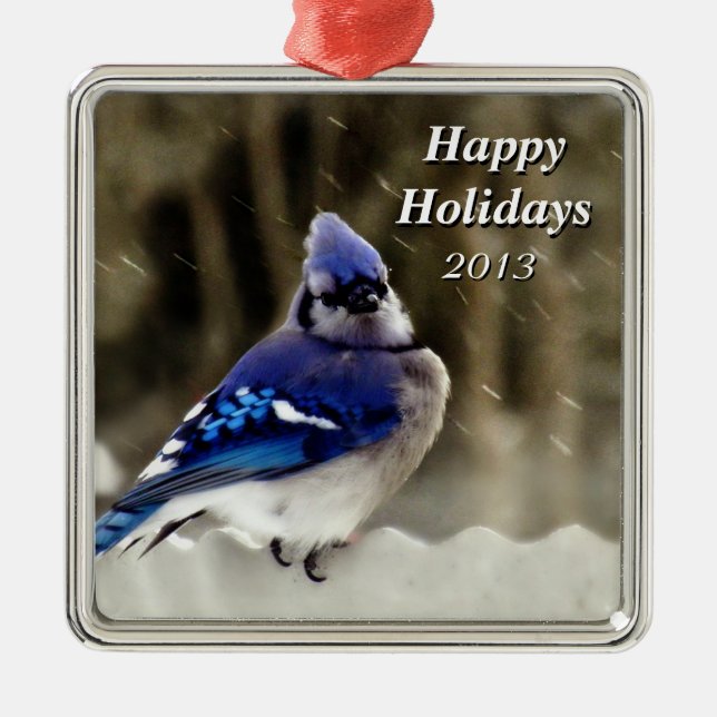 Blaues Jay-Foto Ornament Aus Metall (Vorne)