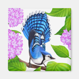 Blaues Jay im Hydrangeas-Vogel-Magneten Magnet
